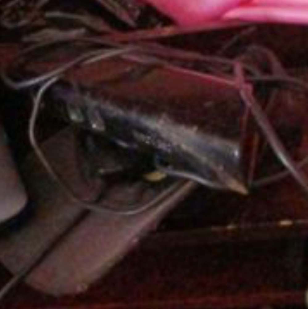 Xbox 360 kinect